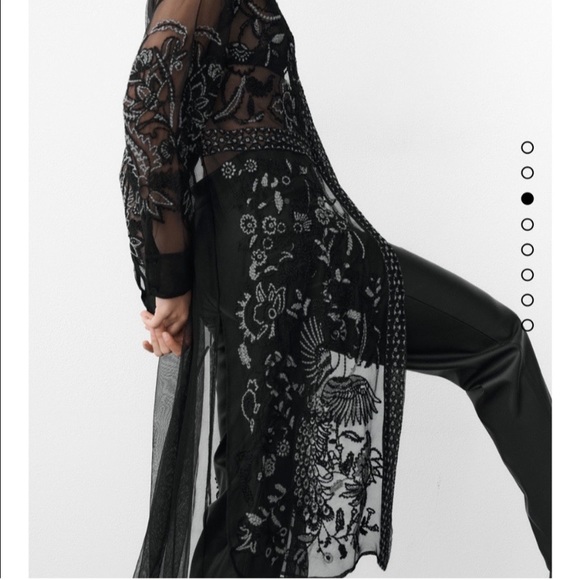 🖤 ZARA BOHO MESH EMBROIDERED CROCHET COLLARED SHEER MAXI DRESS/COVERUP! - Picture 12 of 16